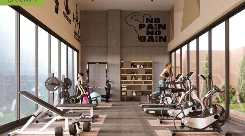 Basil-Flora-Amenities-Gym